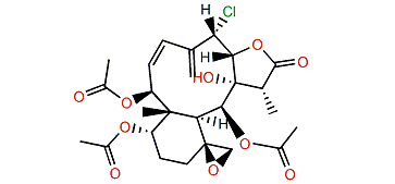 Robustolide G